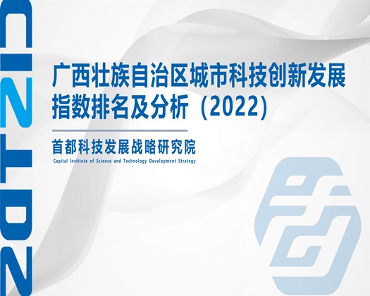 插嫩视频韩国【成果发布】广西壮族自治区城市科技创新发展指数排名及分析（2022）